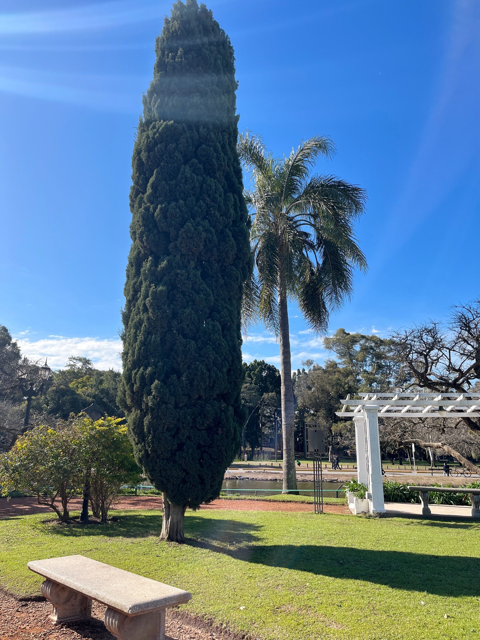 Que hacer en el Rosedal en invierno y sin rosas-Palermo Buenos Aires