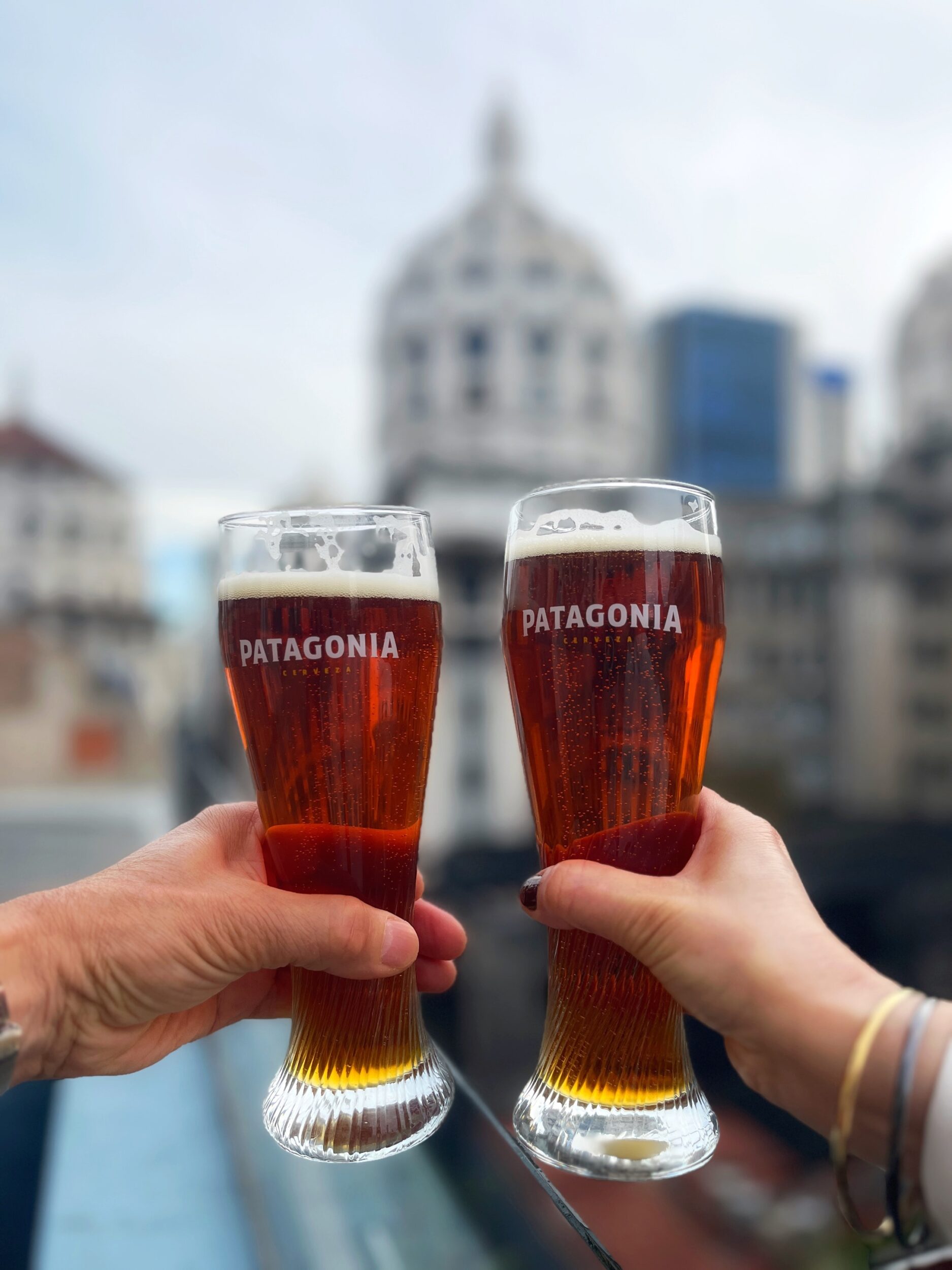 Cerveza Patagonia 