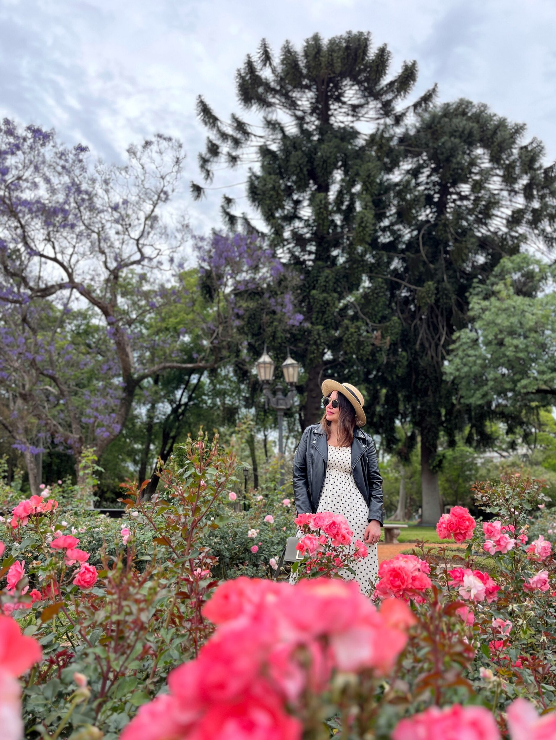 El Paseo más pintoresco de Buenos Aires en los Bosques de Palermo es el rosedal